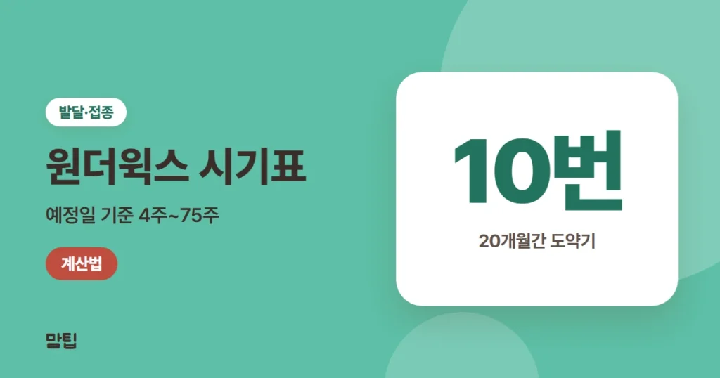 원더윅스 시기표와 계산법: 도약기 10번 주차 한눈에